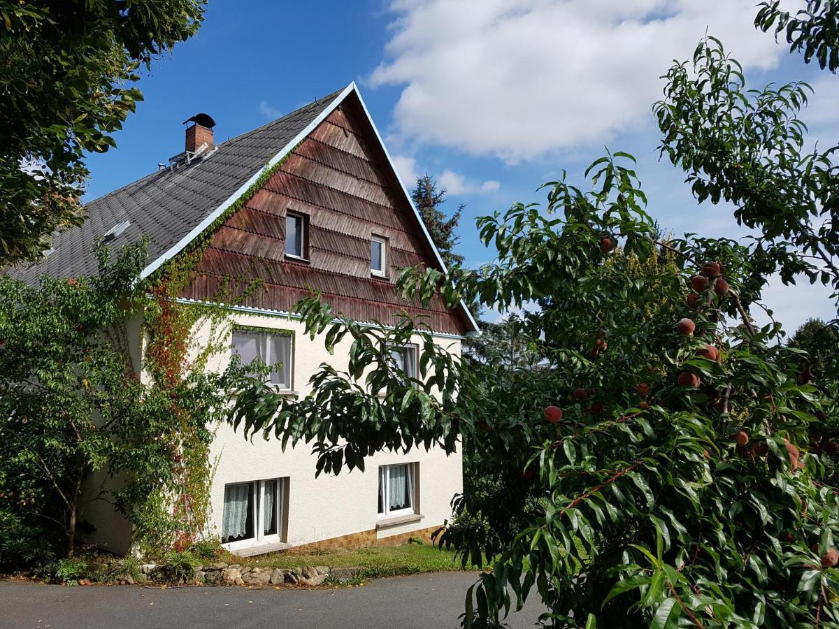 Ferienwohnung Im Obstgarten Borlas Exterior photo